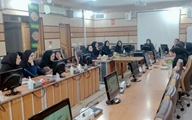 برگزاری نشست هم‌اندیشی کارشناسان تغذیه با محوریت کارسنجی فعالیت‌های تغذیه 